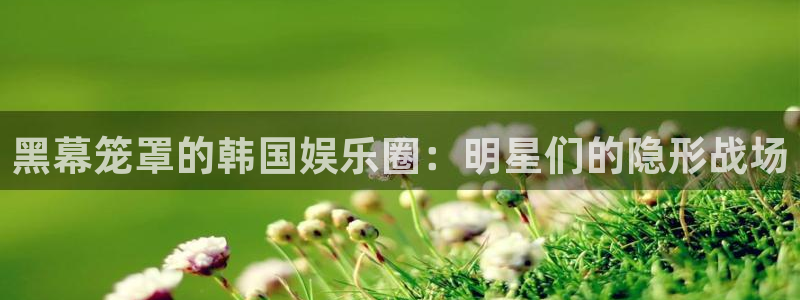 wg电子平台：黑幕笼罩的韩国娱乐圈：明星们的隐形战场