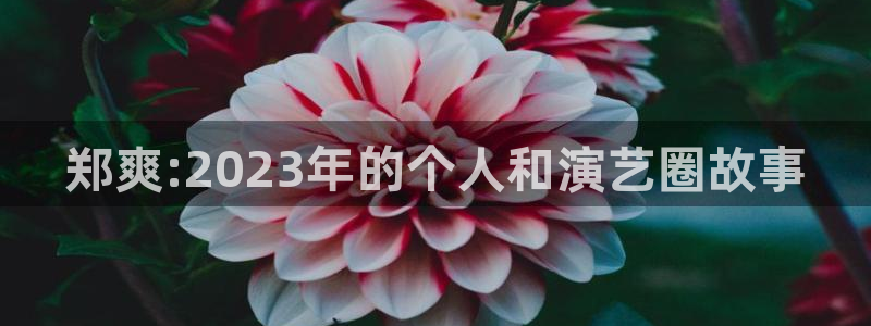 wg电子平台：郑爽:2023年的个人和演艺圈故事