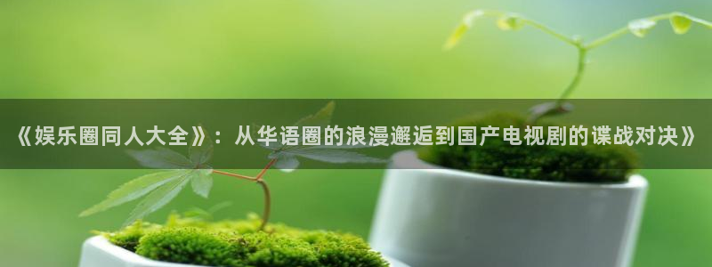 wg电子：《娱乐圈同人大全》：从华语圈的浪漫邂逅到国产电视剧的谍战对决》