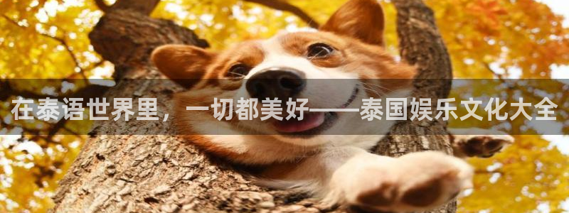 wg电子：在泰语世界里，一切都美好——泰国娱乐文化大全