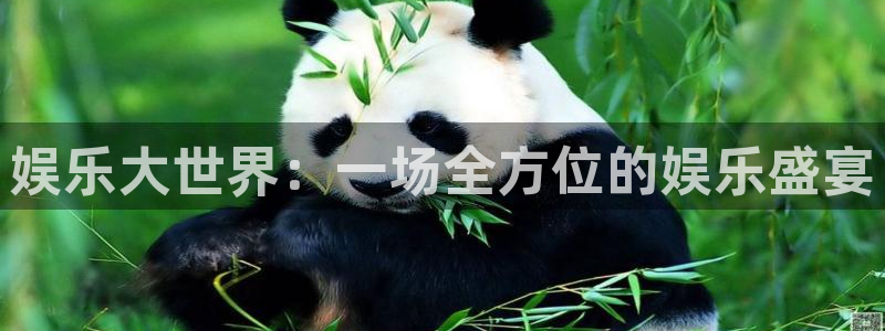 wg电子平台：娱乐大世界：一场全方位的娱乐盛宴