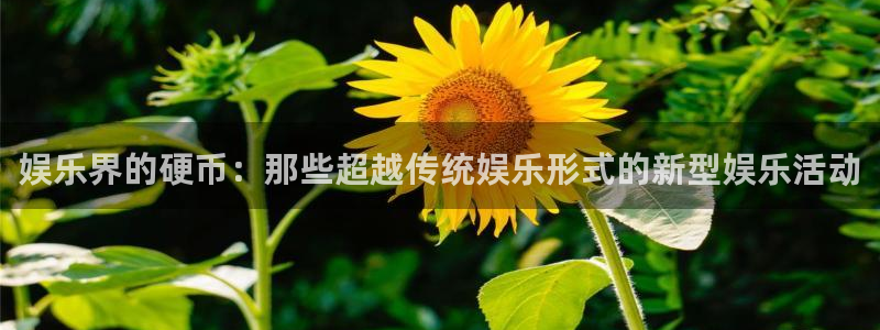 wg电子：娱乐界的硬币：那些超越传统娱乐形式的新型娱乐活动