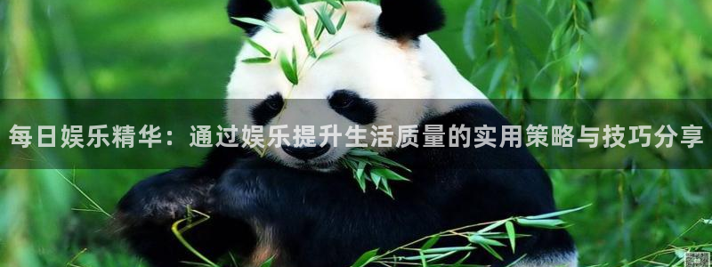 wg电子：每日娱乐精华：通过娱乐提升生活质量的实用策略与技巧分享
