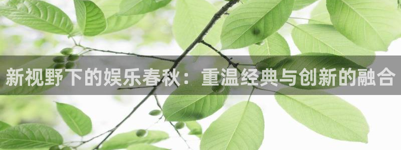 wg电子平台：新视野下的娱乐春秋：重温经典与创新的融合