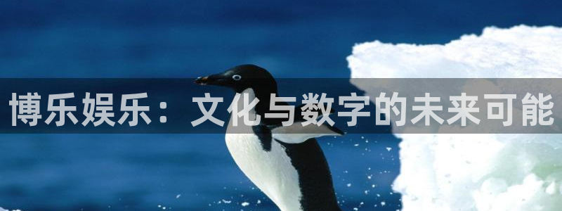 wg电子平台：博乐娱乐：文化与数字的未来可能