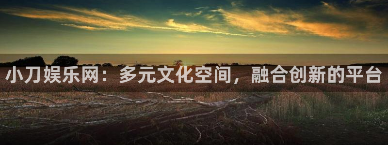 wg电子平台：小刀娱乐网：多元文化空间，融合创新的平台
