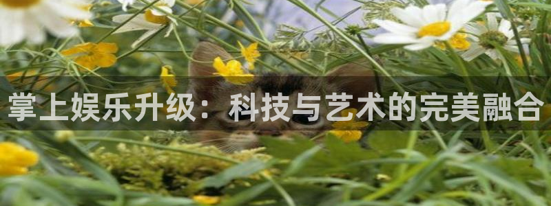 wg电子：掌上娱乐升级：科技与艺术的完美融合