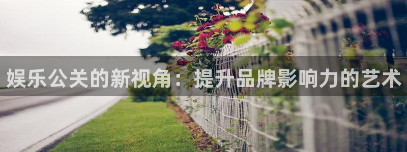 wg电子平台：娱乐公关的新视角：提升品牌影响力的艺术