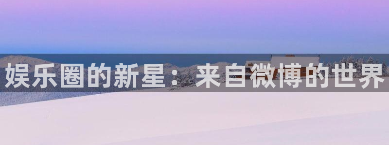 wg电子：娱乐圈的新星：来自微博的世界